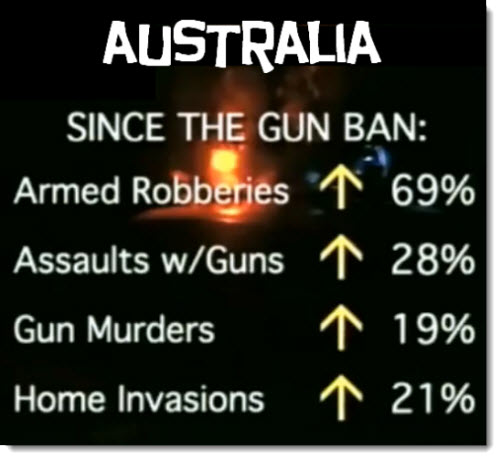 Australia Gun Ban Stats Chart