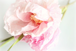 crepe watercolor flowers tutorial flower watercolour tutorials paper water peonies easy diy crafts цветы peony realistic rose close бумаги из
