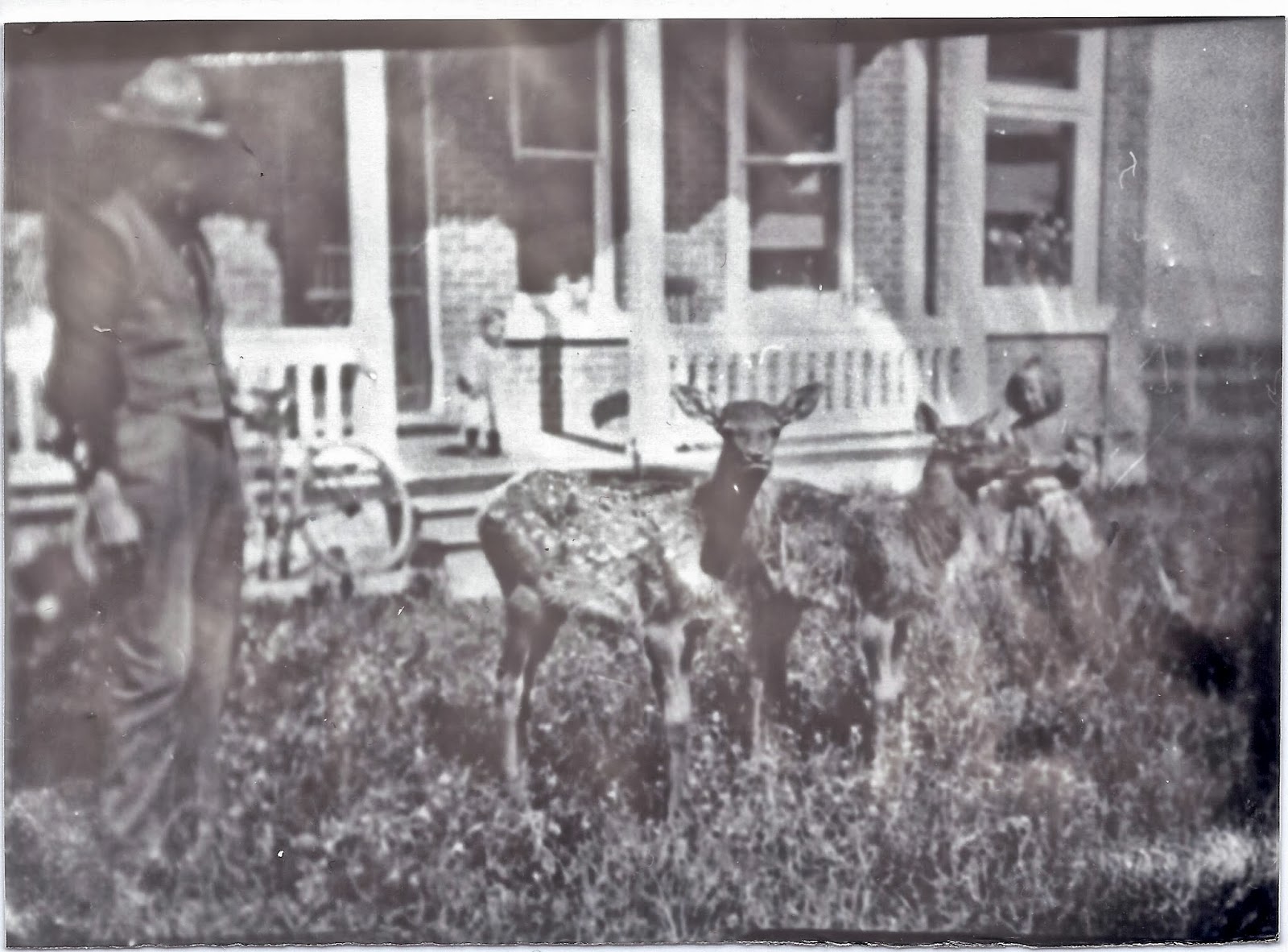 Kennington and er Families Elk and the Old Brick House