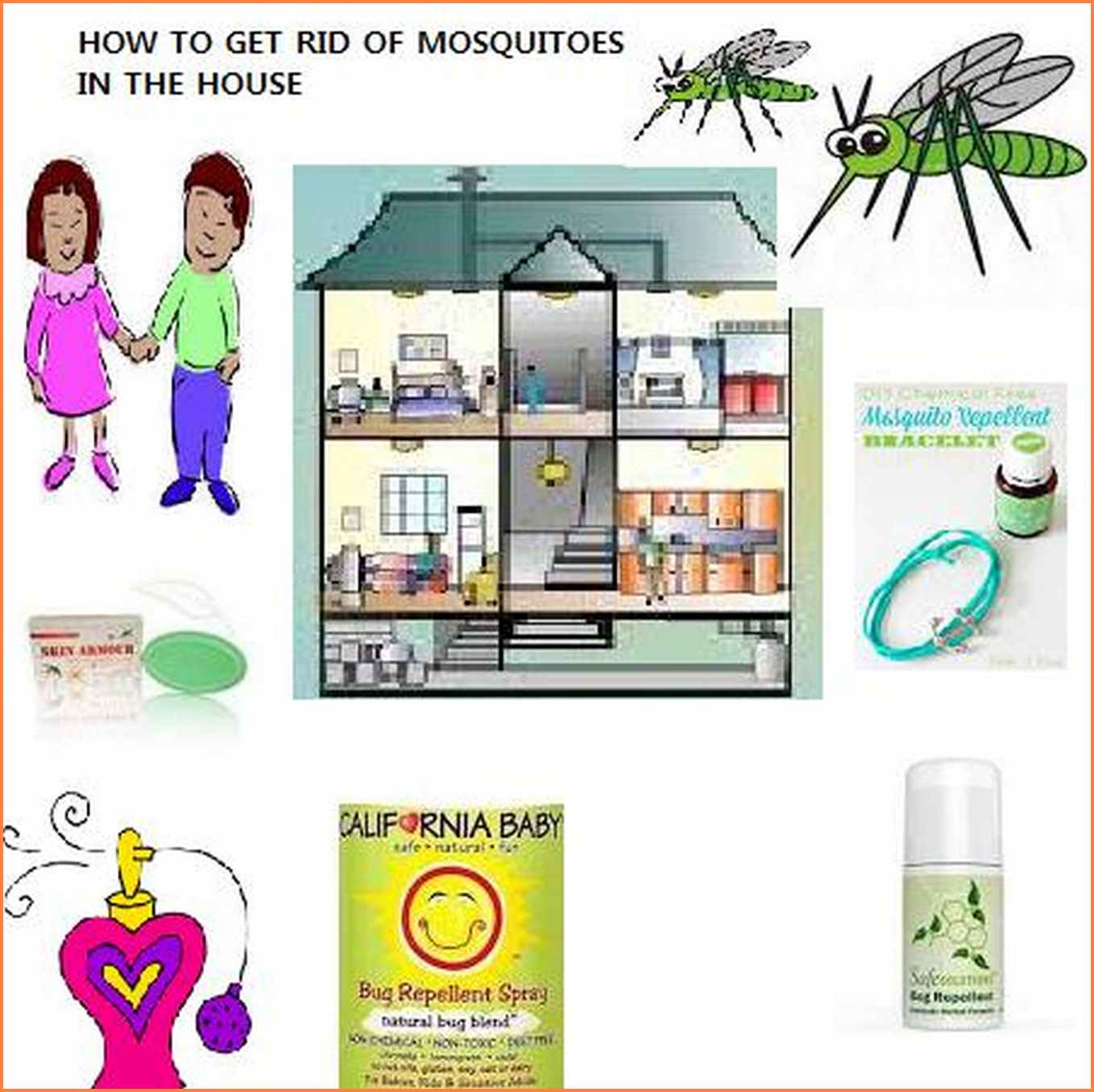 How To Get Rid Of Mosquitoes In House Plants Caraway Seeds Health