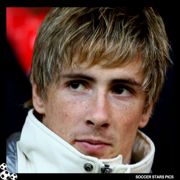 Soccer Stars Pics: Fernando Torres Pictures