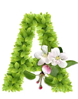 Abecedario con Hojas Verdes y Flores Blancas. Alphabet with Green Leaves and White Flowers.