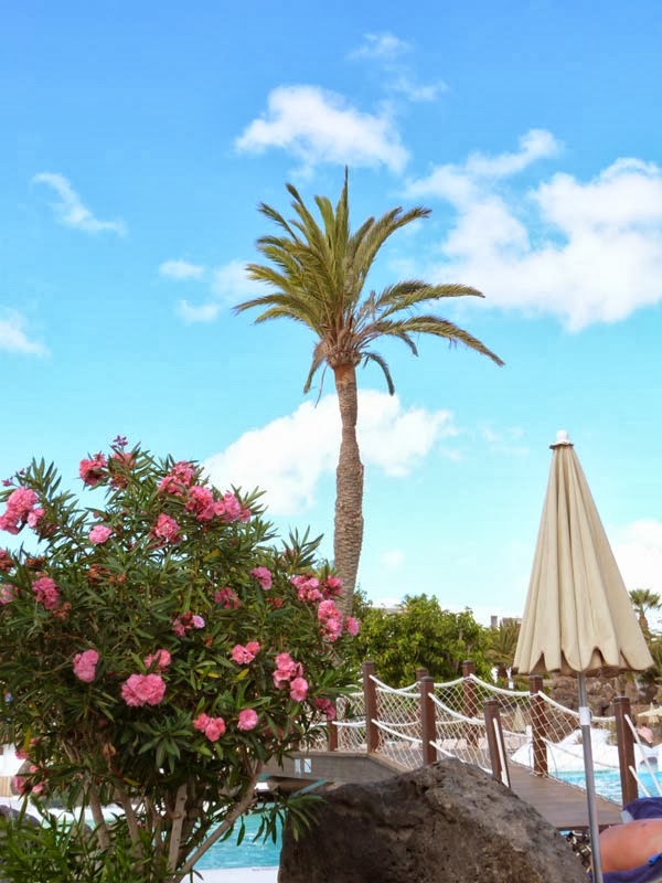 Dramatische Corona Entwicklung In Den Usa Donald Trump Tragt