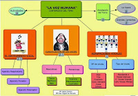 MAPA CONCEPTUAL 6