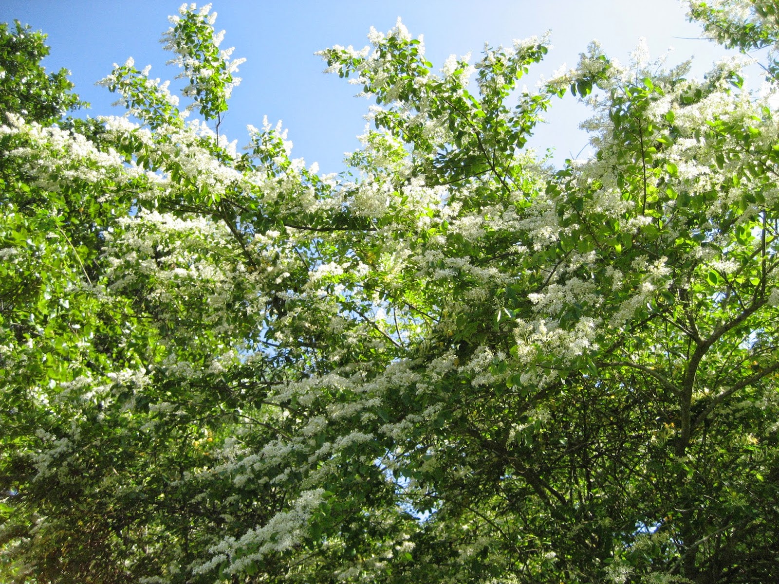 5 Letter Words With Lour In Them