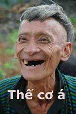 Phòng Chat CHIASE123.COM