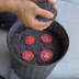 The Easiest Way To Grow Tomato Seedlings