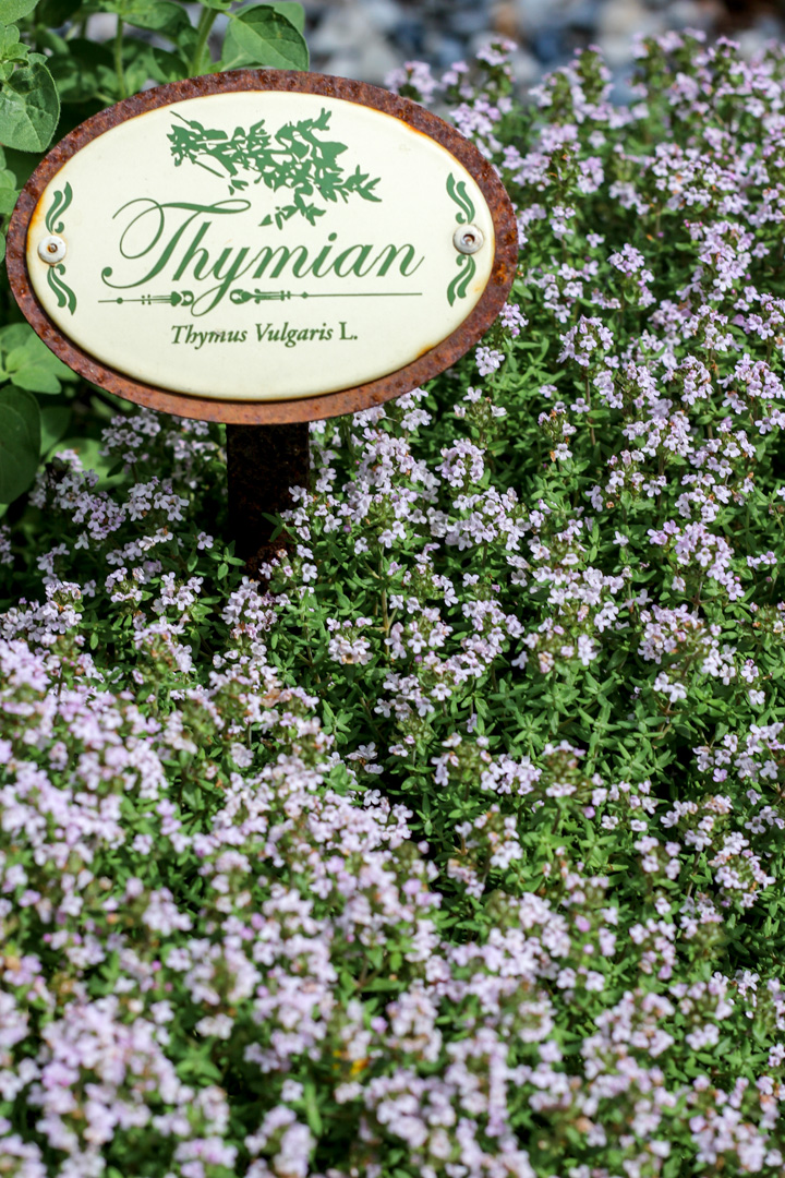 Heimgemacht: Kräutergarten-Pflanzpläne