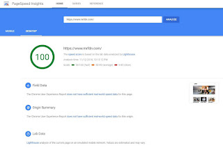 hasil pemeriksaan pagespeed insight terbaru dari google