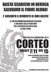 CORTEO 7/11 A CASTELLANZA E PRESIDIO TAR LOMBARDIA 19/11