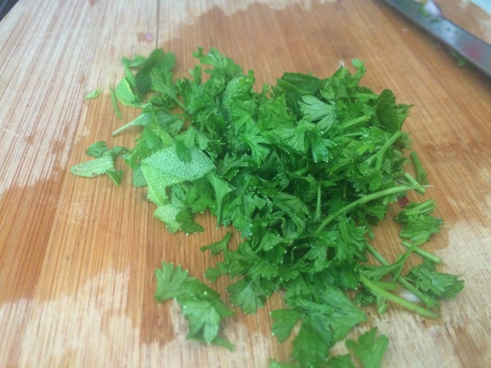 Kevin Songer's Diet for Aorta, Cardiovascular and Gallbladder Health