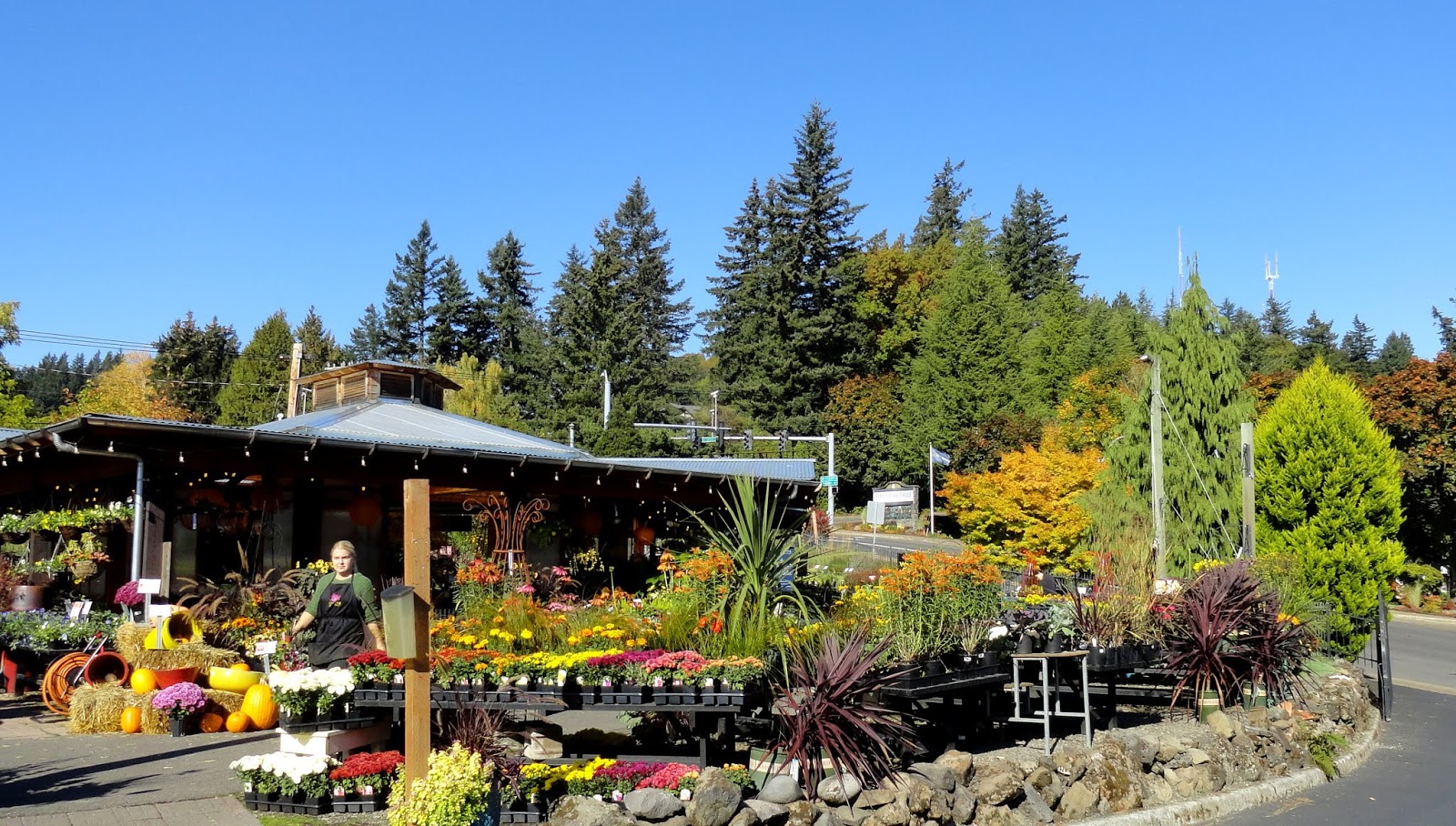 danger garden Cornell Farm, on a perfect October day...