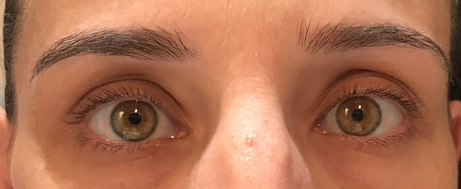 SHOPPING BROW Conditioner de Orphica Stardivarius