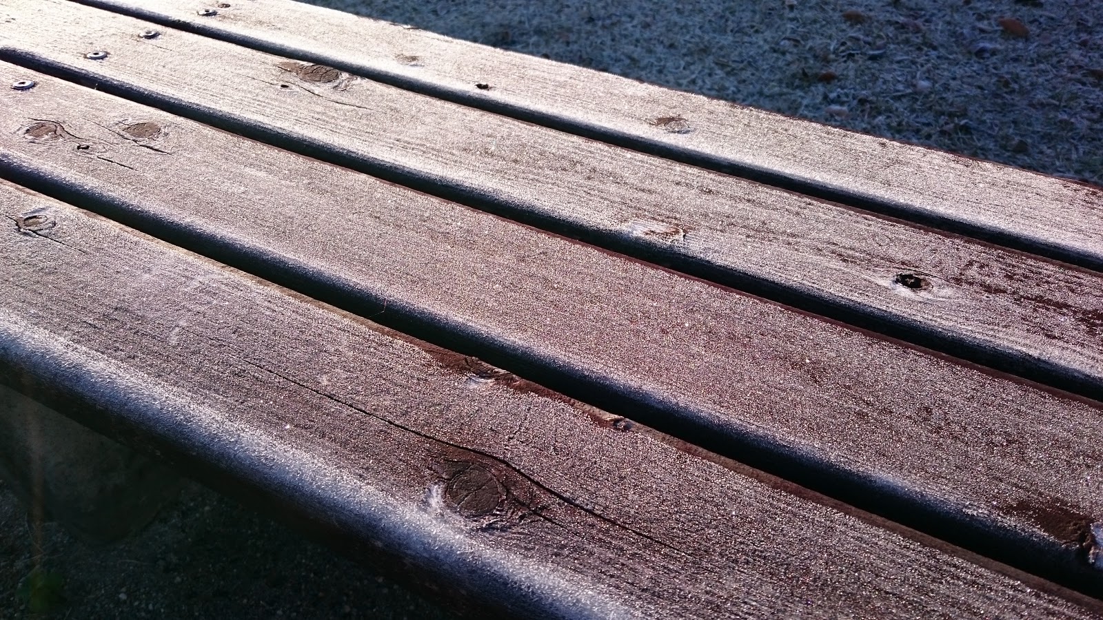 公園の初霜が降りた木の長椅子