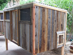 Reclaimed Redwood 4 x 8 Chicken Coop in Owners built Run