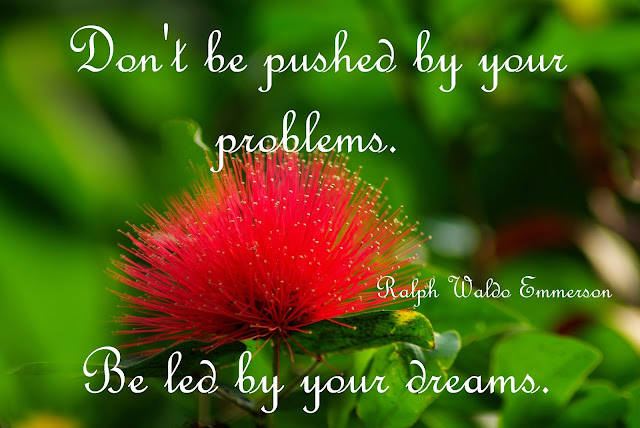 Don´t be pushed by your problems. Be led by your dreams - Ralph Waldo Emmerson
