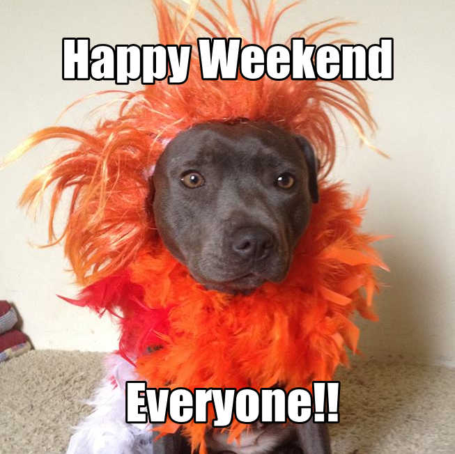 The Weekend Is Here Happy Dog Make A Meme