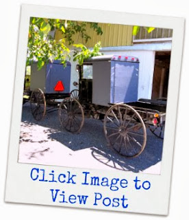 Click Image:To View My Visit With Amish Buggy Maker "AARON LAPP"