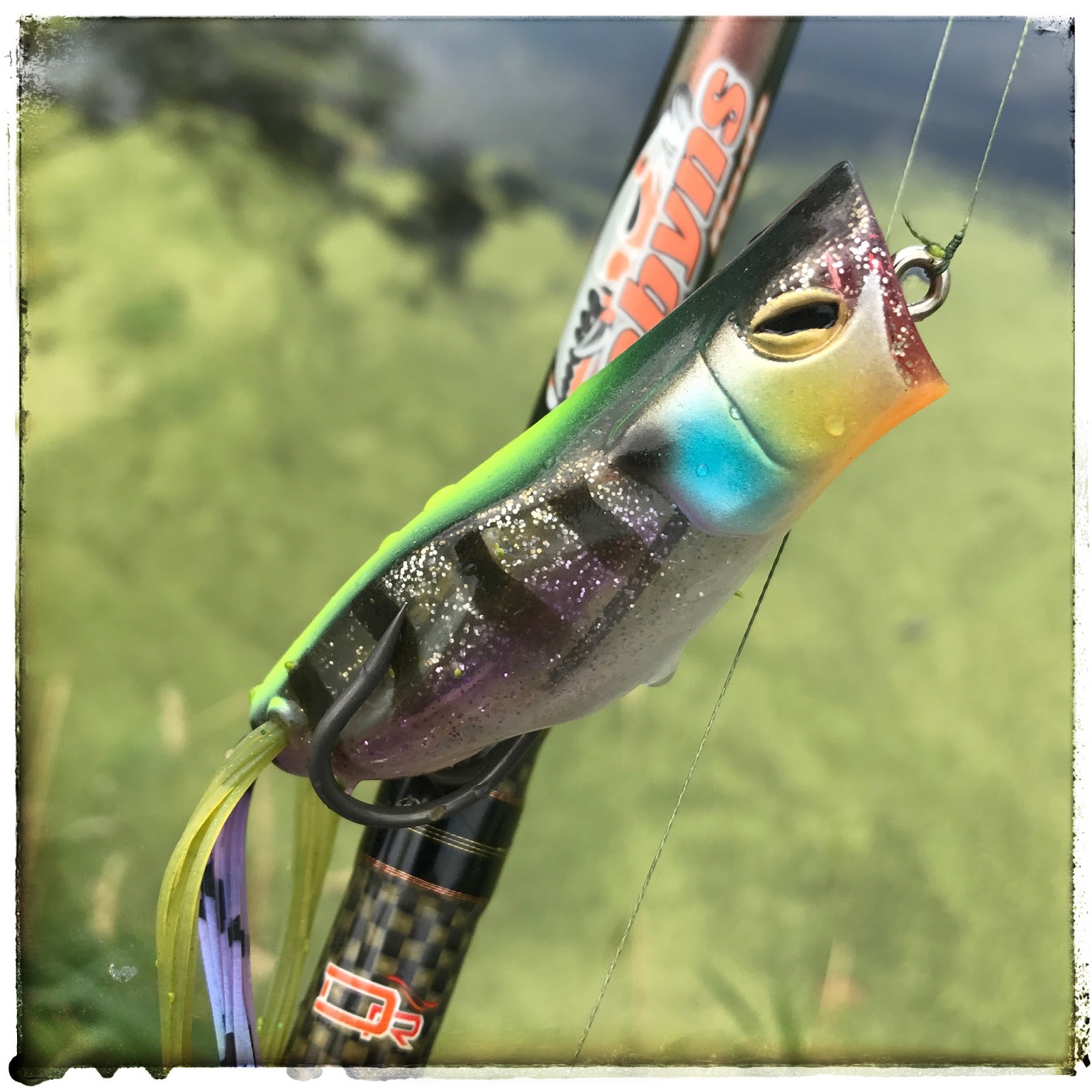 Bass Junkies Frog Pond Jackall Gavacho Frog Review