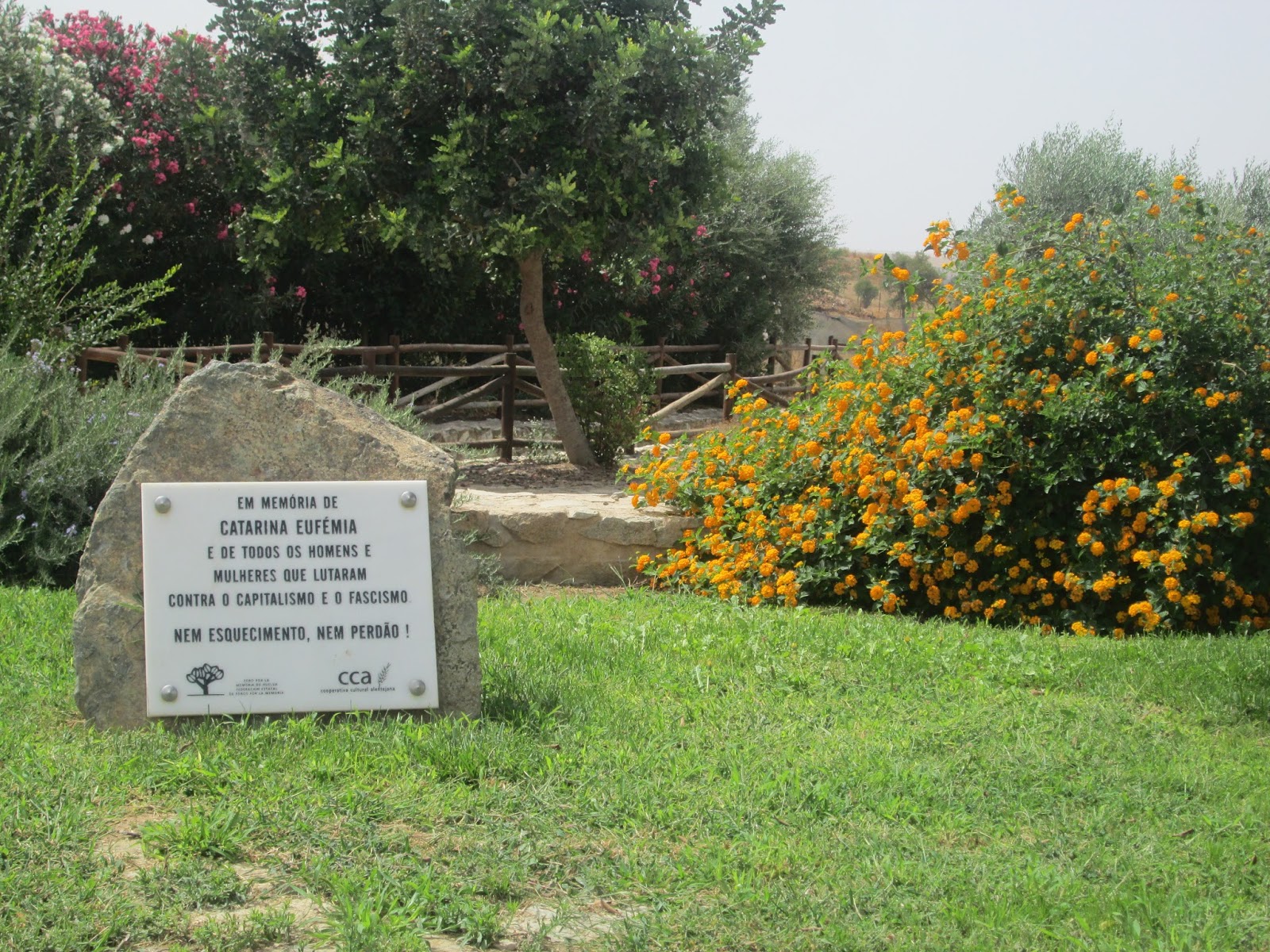 blog da su com CIDP catarina eufémia