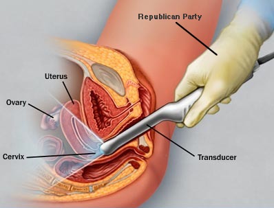 Vaginal Penetration 11