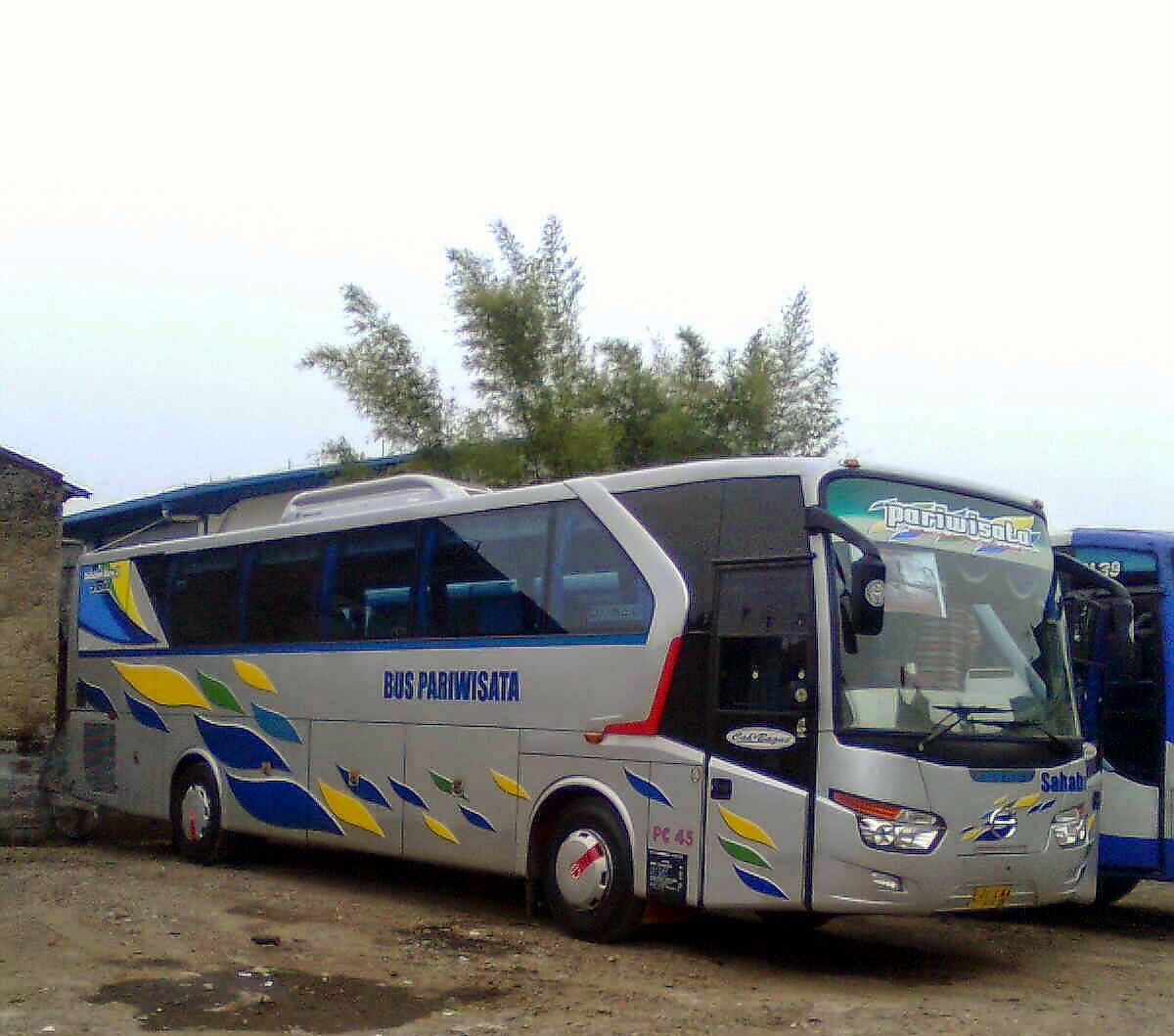 Bus Pariwisata: Investasi Menguntungkan yang Tersedia di Toko Bagus