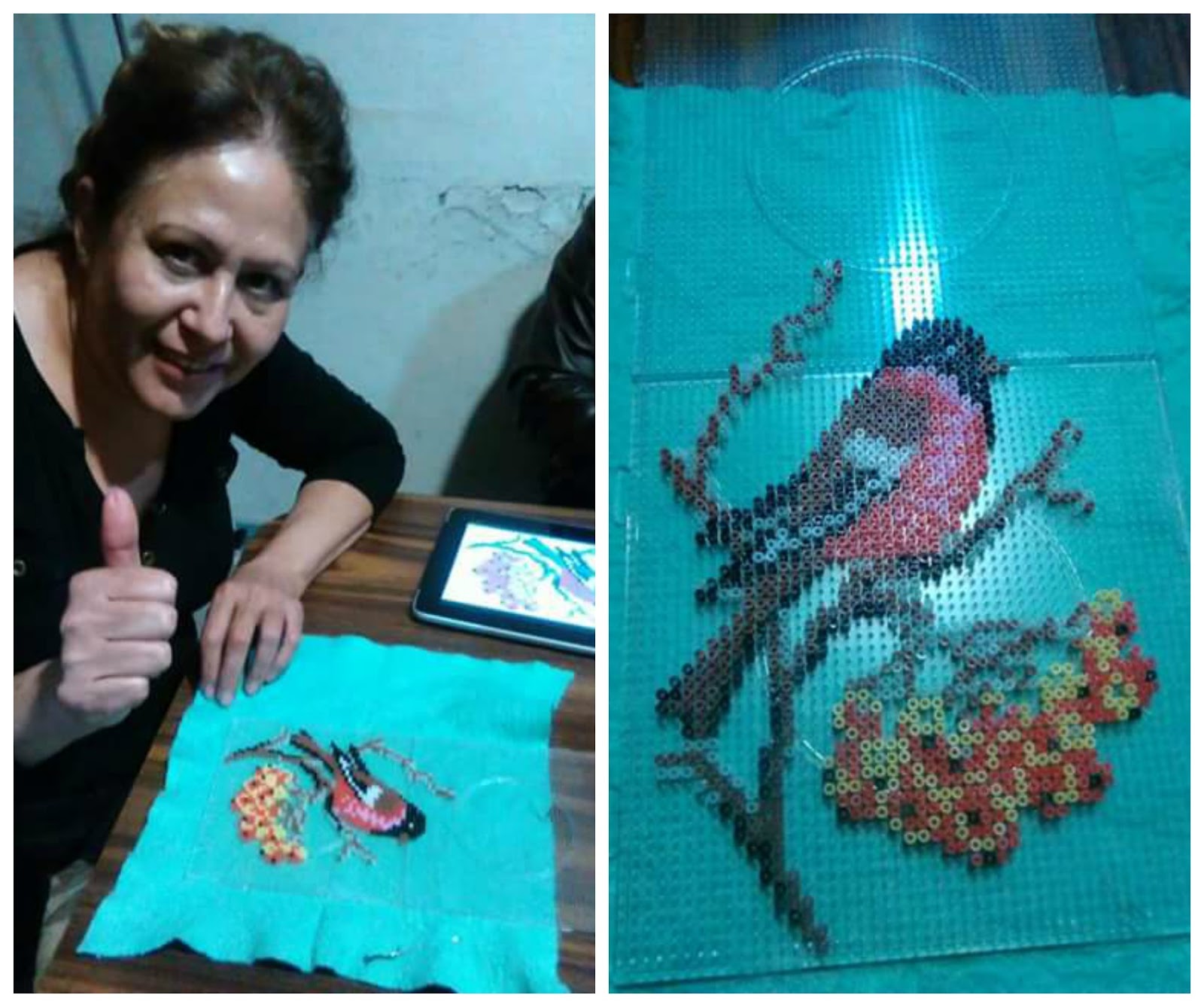 Art and Tips from a Perler Mini Bead Master