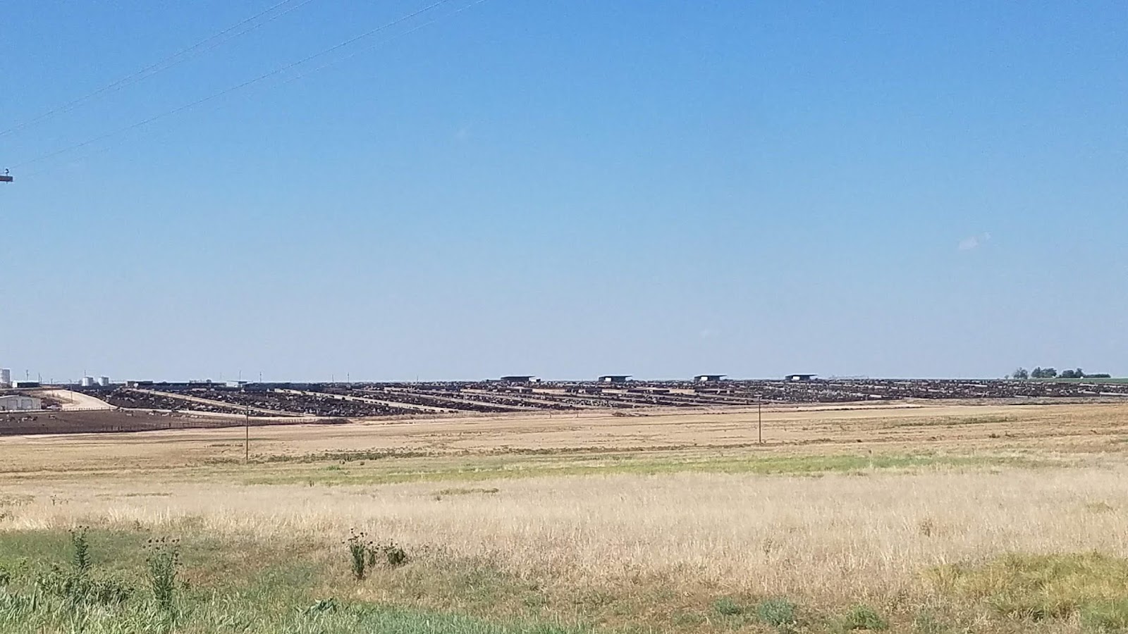 AusTexGuys Blog Family trip to Hereford and Friona, Texas