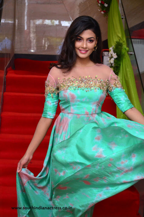 Anisha Ambrose