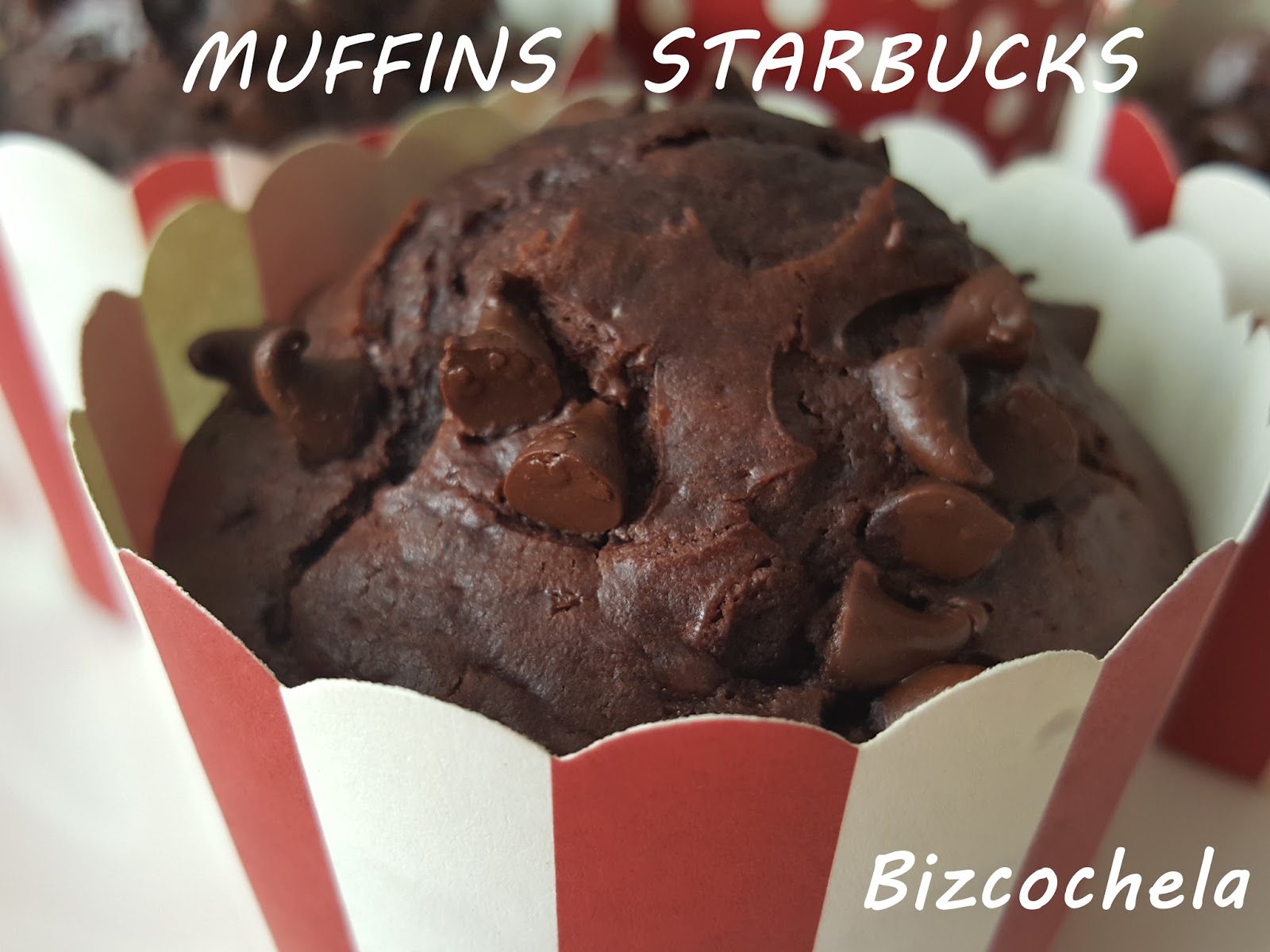 MUFFINS DE CHOCOLATE ( STARBUCKS)
