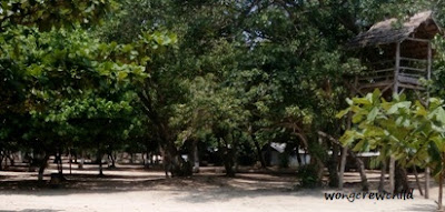 Lokasi Pantai Pasir Panjang masih dalam satu area dengan Pantai Ngliyep Pantai Pasir Panjang Ngliyep, Malang