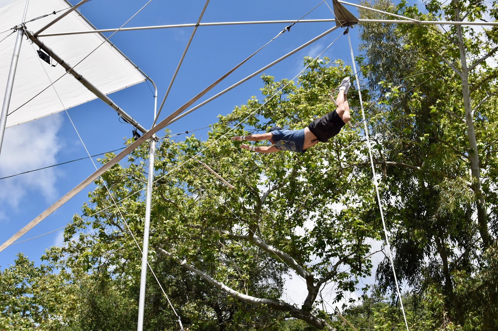 Sensory Overload Flying Trapeze (BartoBar Rig)