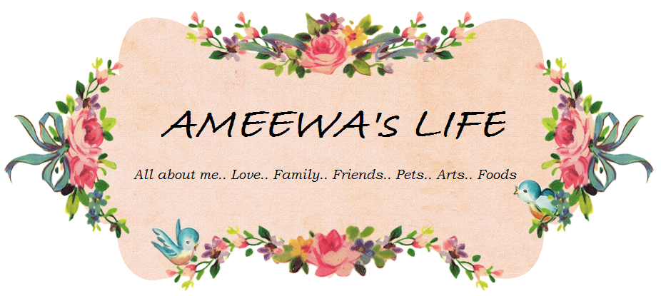 Ameewa's Life