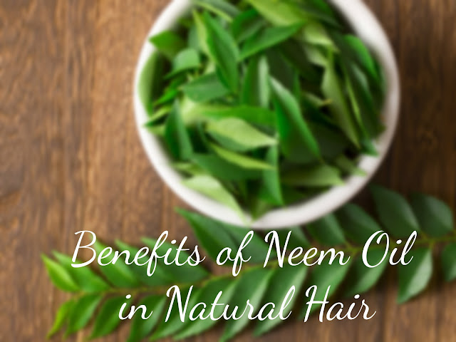 Benefits Of Neem Oil In Natural Hair Naturalhairseries All