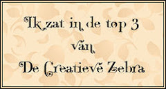 Ik was één van de winnaars bij De Creatieve Zebra