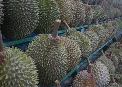 Cara Mudah Memilih Buah Durian Yang Matang Dan Enak - AnharMedia