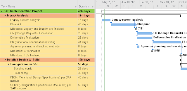 SAP Project Plan MPP