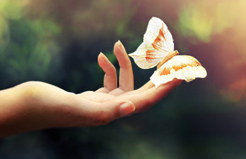 Arti Mimpi Melihat Orang Makan Daging Manusia Menurut Primbon Jawa Pendapat Ulama Serta Adab Bermimpi Buruk Songo Mimpi