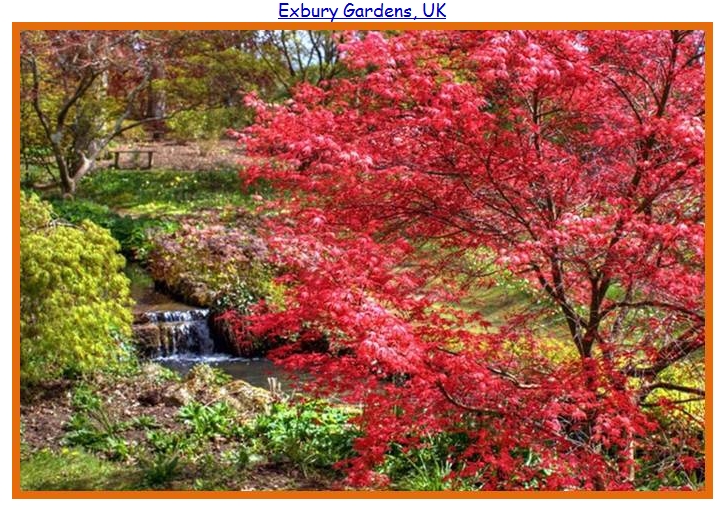 MikeLiveira's Space: Beautiful Gardens...!!!!!