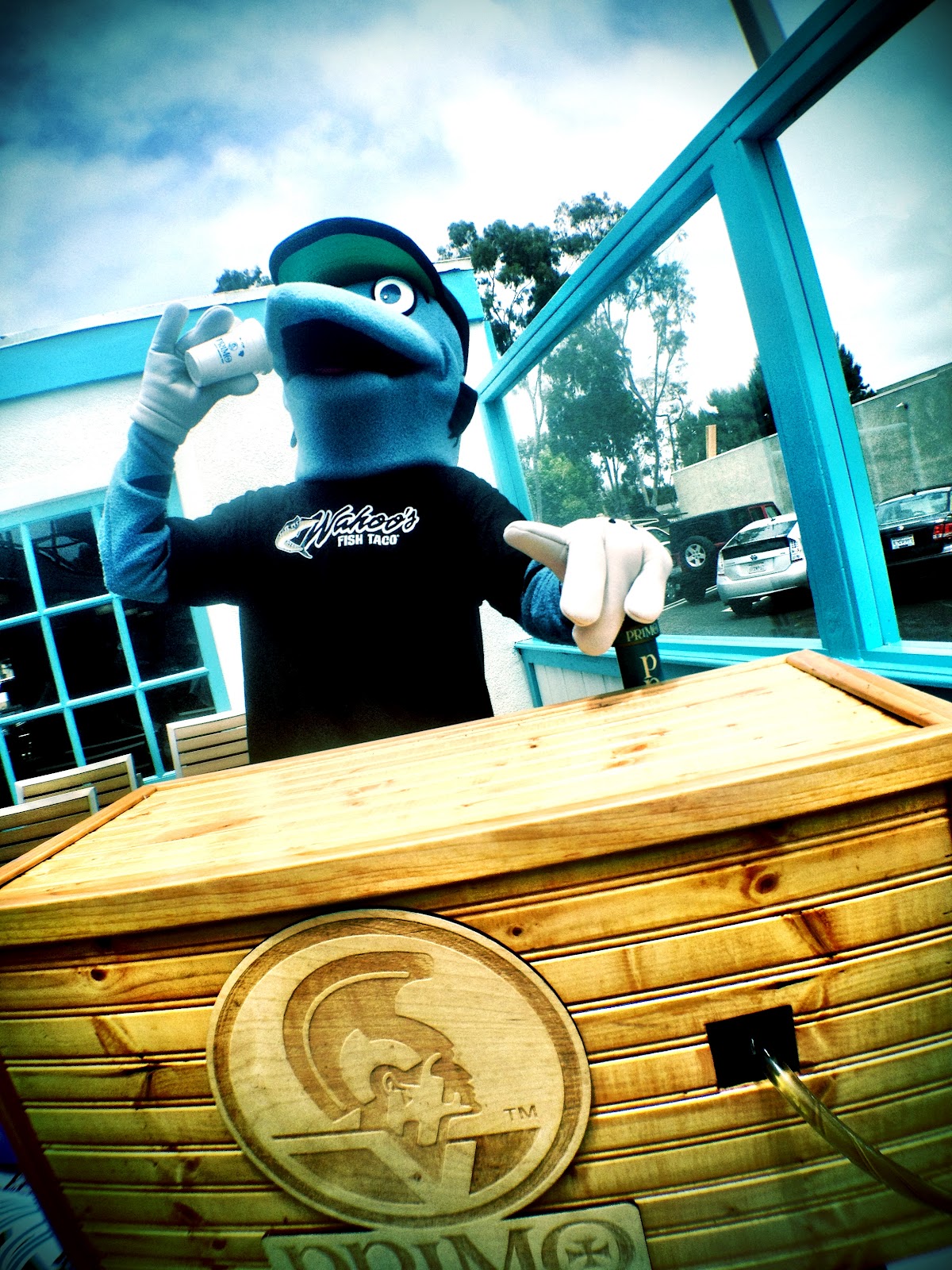 wahoo indoor wahooligan bundle