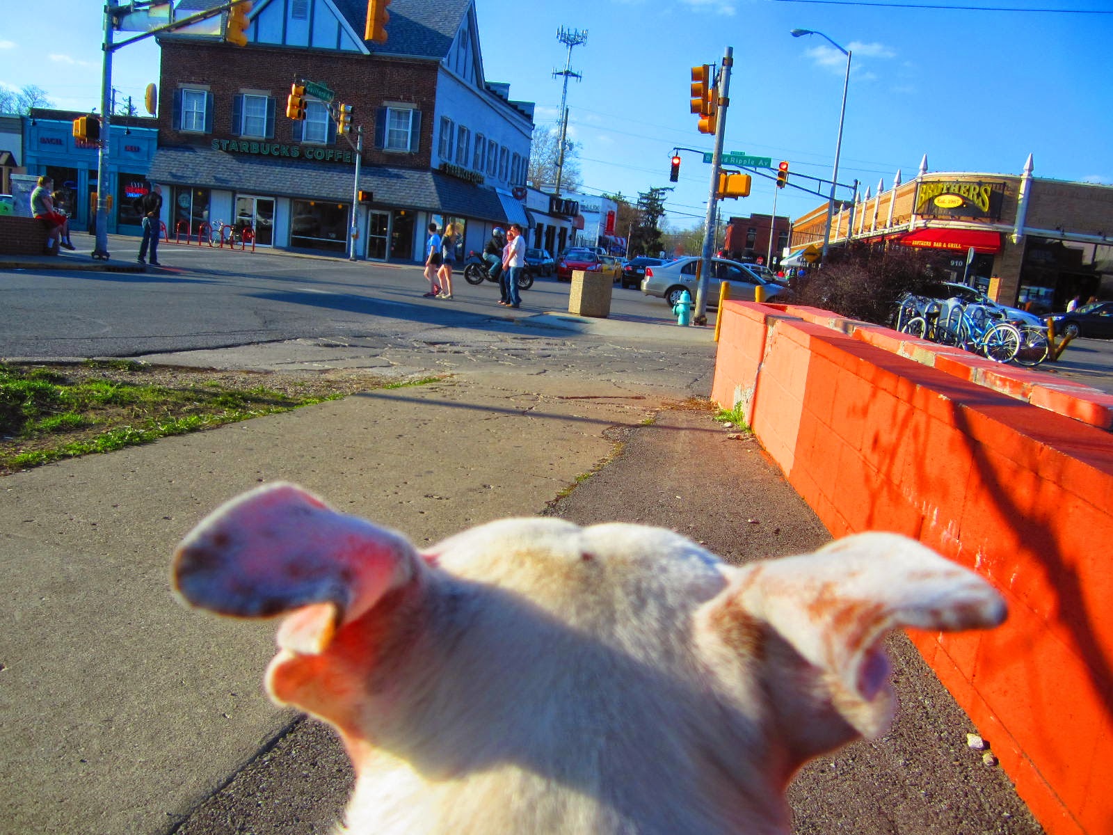 50 yrs ago: 50 yrs ago today