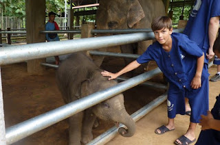 Baanchang Elephant Park de Chiang Mai.