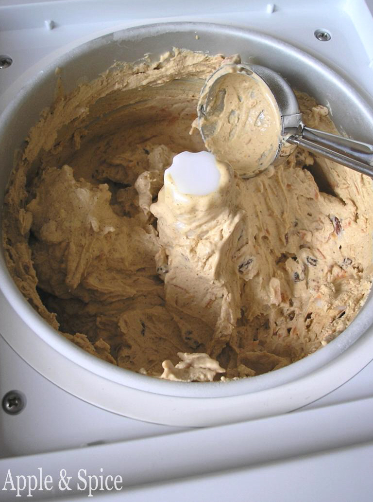 Apple & Spice Carrot Cake Inspired Ice Cream