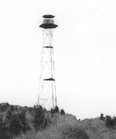 Fuente: http://www.leitzaran.net/pictures/urdelar-torre.jpg