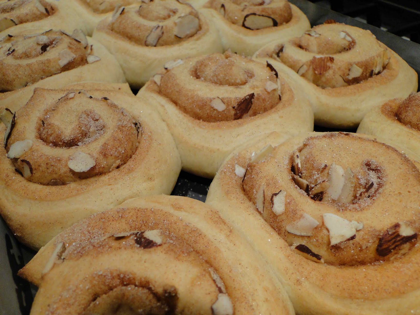 The Bread Baker's Apprentice Cinnamon Buns