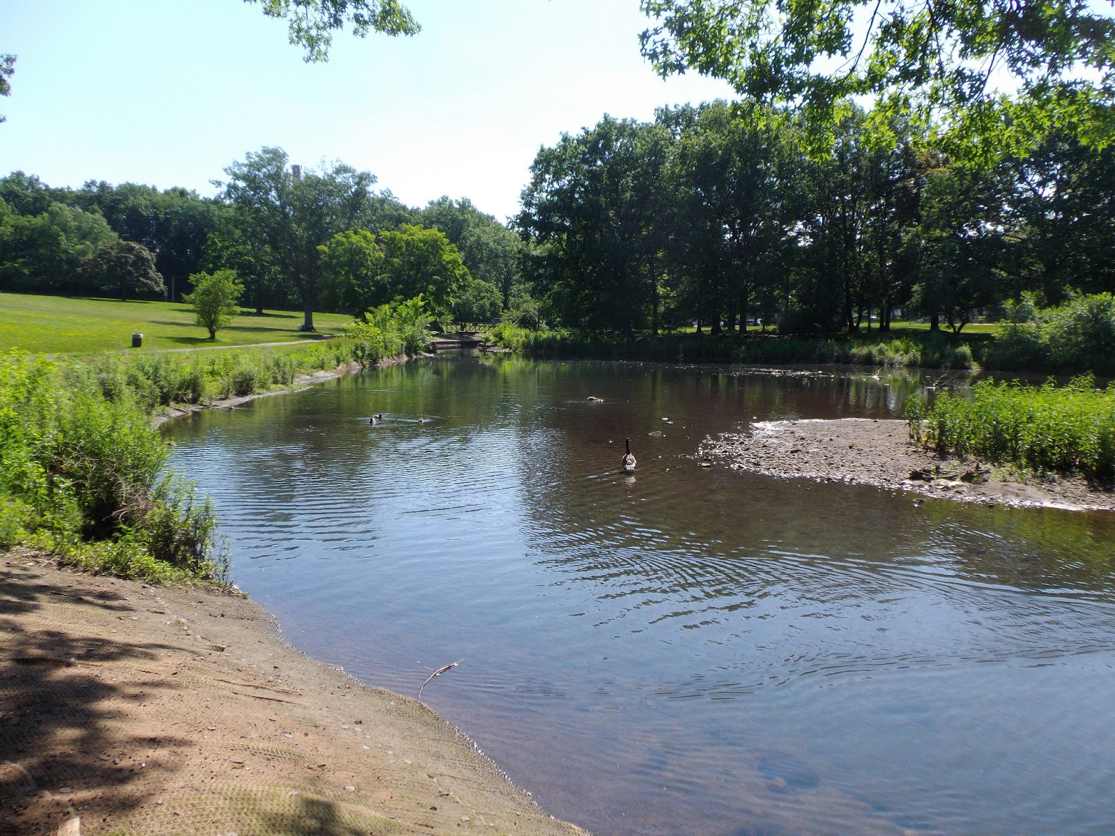 The Great Lakes of NYC Weasel Brook Park and Main Memorial Park North