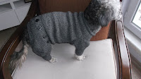 Teriyer Köpekler İçin Süper El Örgüsü Elbise Modeli