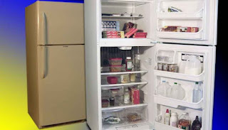 The EZ Freeze gas refrigerator from Gas Fridge can save you the loss of perishable food during a power outage.