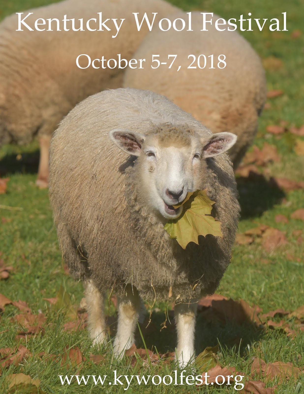 2018 Kentucky Wool Festival