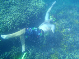 Taylor snorkelling